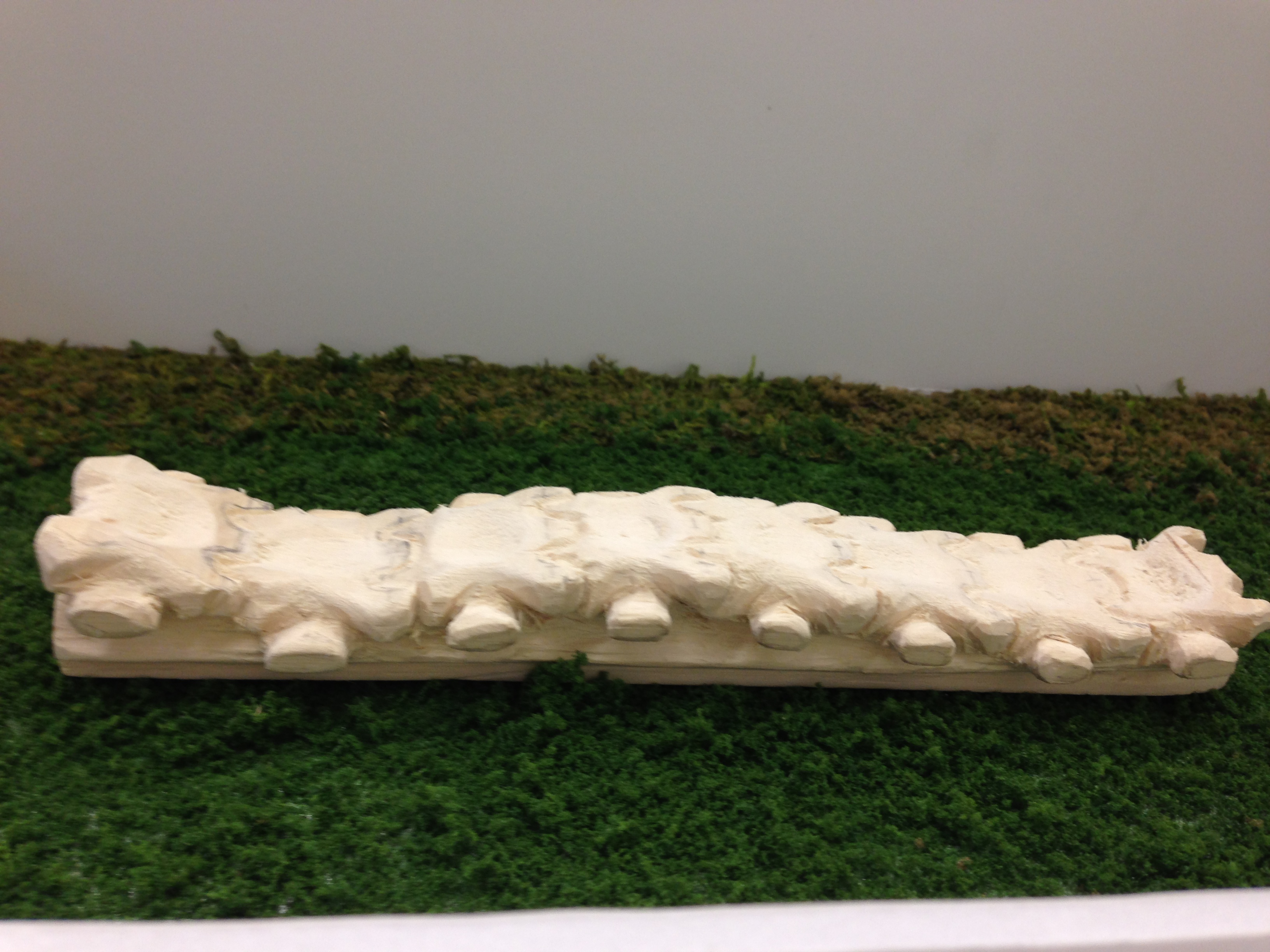 Bone Forms - image 3